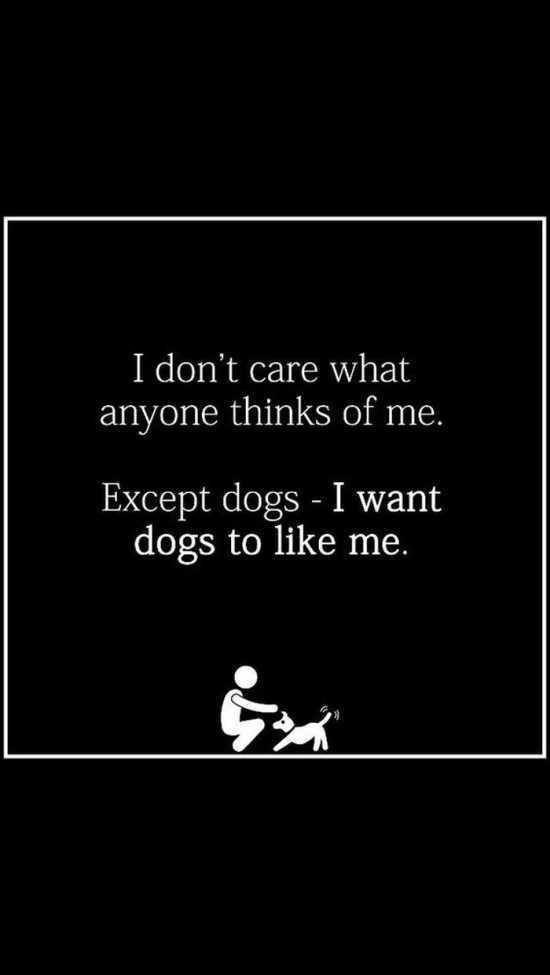hilarious-quotes-and-sayings-026