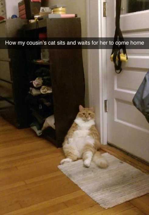 Very Funny Pictures 001