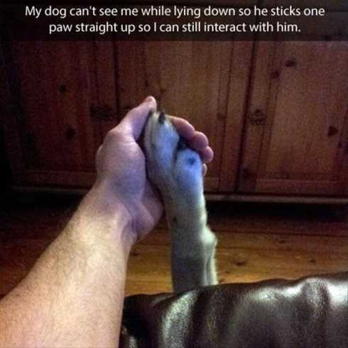 Very Funny Pictures 013