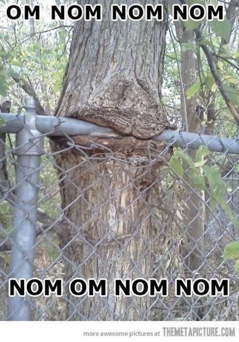 VERY Funny Pictures 014
