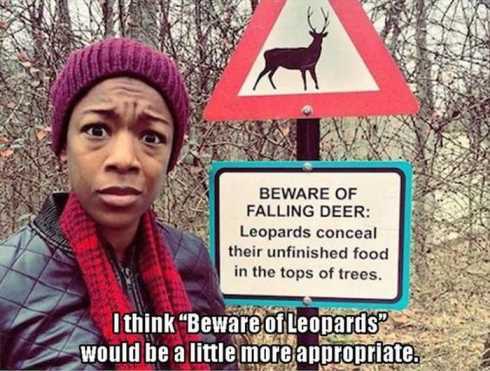 VERY Funny Pictures 015