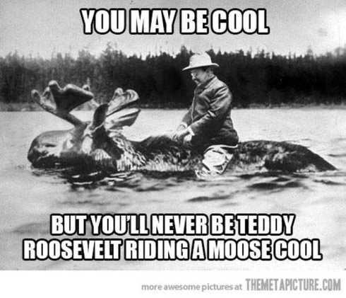 Very Funny Pictures 016