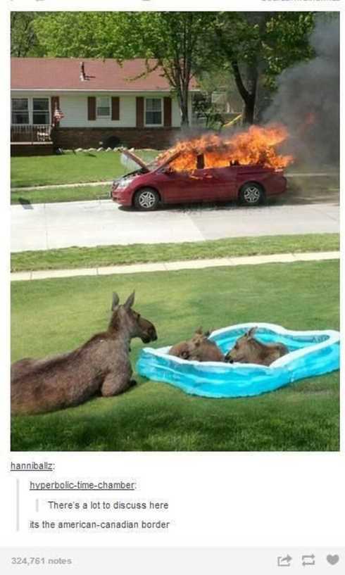 VERY Funny Pictures 017