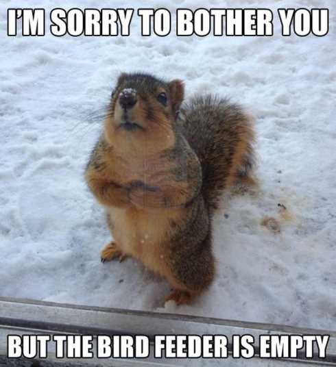 VERY Funny Pictures 024
