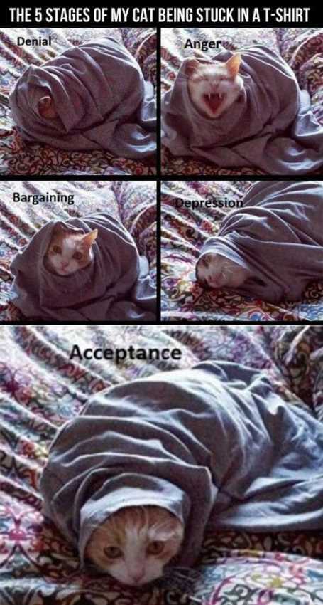 cat-ina-blanket