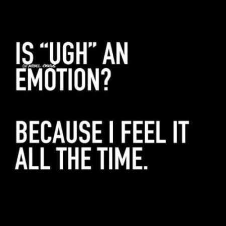 Funniest Quotes On The Internet 006