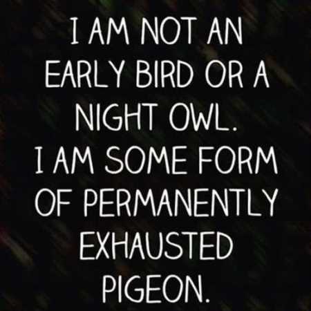 funniest quotes on the internet 020