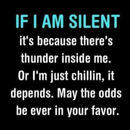 Funniest Quotes On The Internet 031