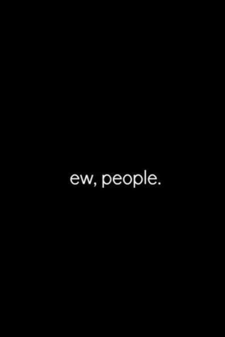 Funniest Quotes On The Internet 033