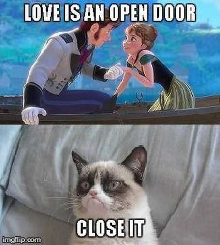 grumpy-cat-disney-love-is-an-open-door