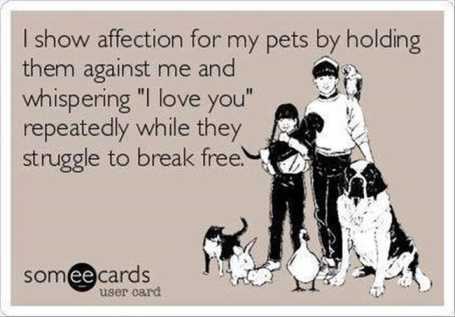 how-i-sow-my-affection-for-my-pets