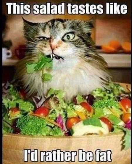 this salad tasts like i would rather be fat