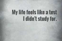 Funny Quotes You'Re Going To Love 017