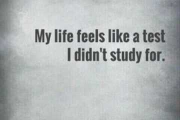 Funny Quotes You'Re Going To Love 017