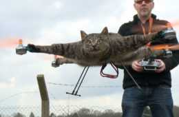 Taxidermy Animal Drones  From Coptercompany Featured
