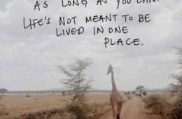 Best Inspirational Quotes Ever 028