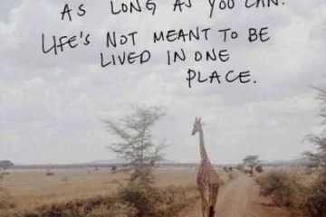 Best Inspirational Quotes Ever 028