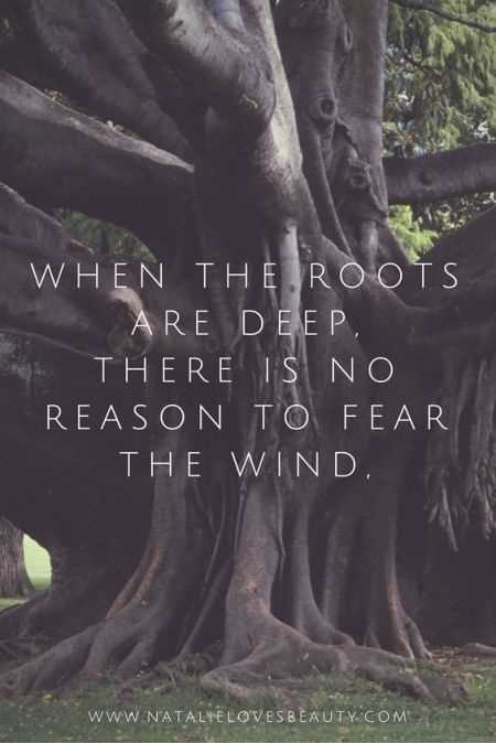 Motivational Quote About Confidence