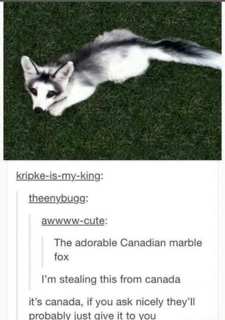 Really Funny Pictures 3002