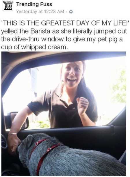 Really Funny Pictures 3004