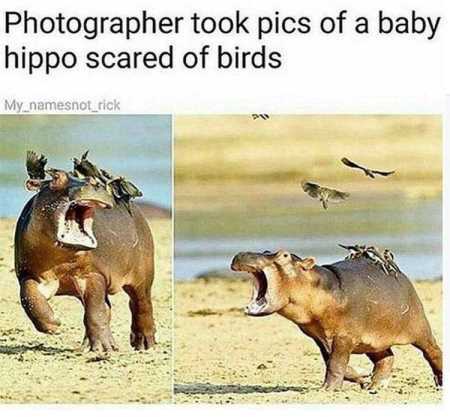 Really Funny Pictures 3006