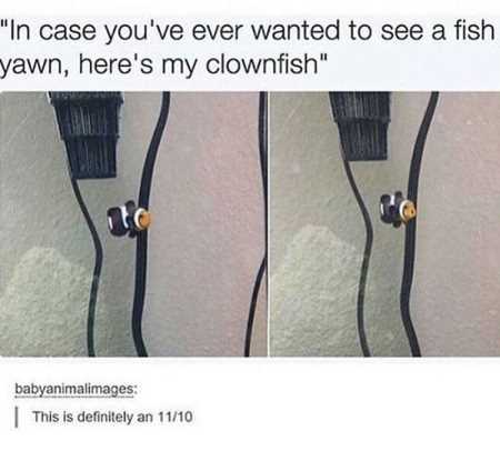 Really Funny Pictures 3009