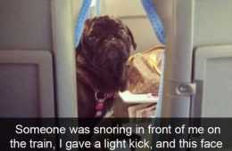 Really Funny Pictures
