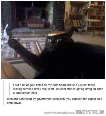 Really Funny Pictures 3020
