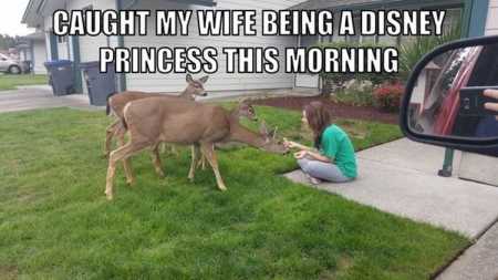 Really Funny Pictures 3029