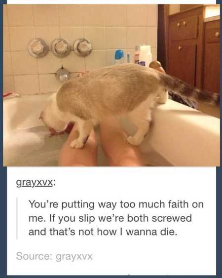 Really Funny Pictures 3035