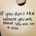 36 Of The Best Inspirational Quotes Ever | The Funny Beaver