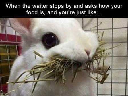 38 Funny Pictures You're Going To Love | Funny Pictures Youre Going To Love 406 38 Funny Pictures You're Going To Love