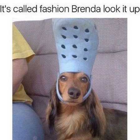 38 Funny Pictures You're Going To Love | Funny Pictures Youre Going To Love 408 38 Funny Pictures You're Going To Love
