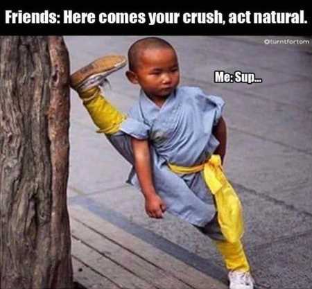 38 Funny Pictures You're Going To Love | Funny Pictures Youre Going To Love 411 38 Funny Pictures You're Going To Love