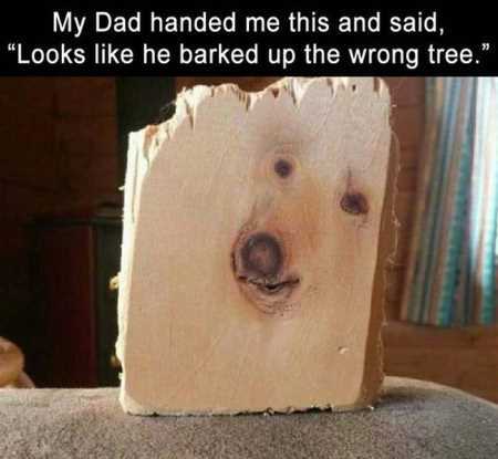 38 Funny Pictures You're Going To Love | Funny Pictures Youre Going To Love 417 38 Funny Pictures You're Going To Love
