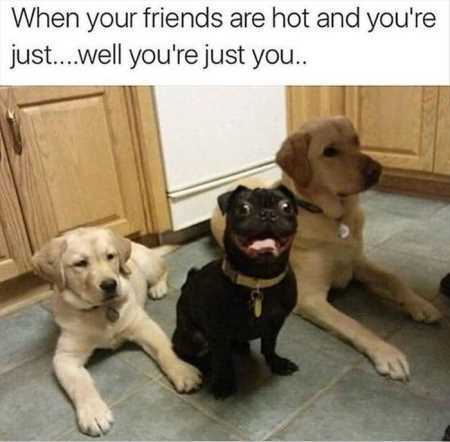 38 Funny Pictures You're Going To Love | Funny Pictures Youre Going To Love 423 38 Funny Pictures You're Going To Love