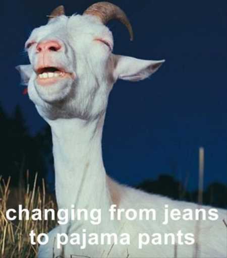 38 Funny Pictures You're Going To Love | Funny Pictures Youre Going To Love 433 38 Funny Pictures You're Going To Love