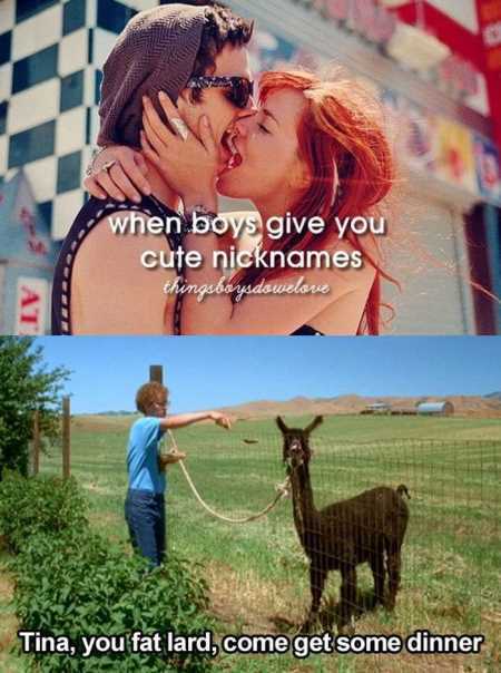 38 Funny Pictures You're Going To Love | Funny Pictures Youre Going To Love 434 38 Funny Pictures You're Going To Love