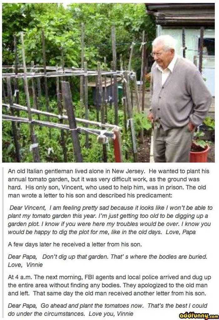 12 Funny Jokes And Short Stories - Old Italian
