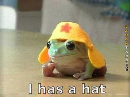 The Funniest Animal Pics Ever 605