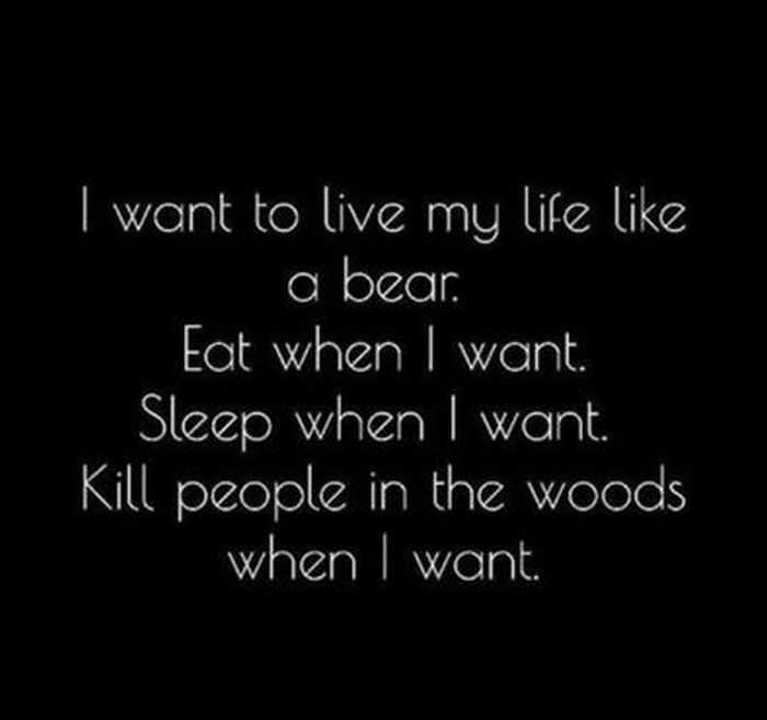 These 15 Quotes are Spot On | 4 1 live life like a bear quote