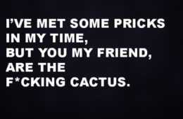 Funny Cactus