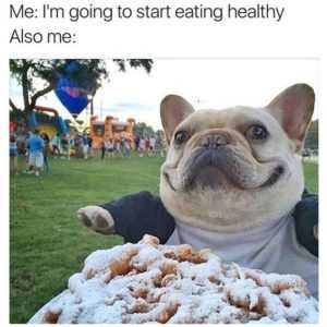 35 Animal Memes to Get You Through the Week | image005 1 35 Animal Memes to Get You Through the Week