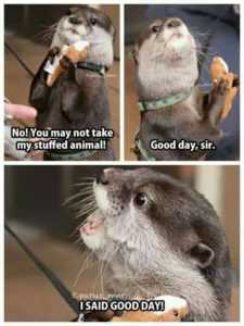 35 Animal Memes to Get You Through the Week | image009 1 35 Animal Memes to Get You Through the Week