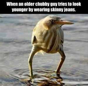 35 Animal Memes to Get You Through the Week | image011 1 35 Animal Memes to Get You Through the Week