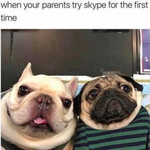 35 Animal Memes to Get You Through the Week | image017 35 Animal Memes to Get You Through the Week