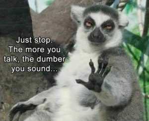 35 Animal Memes to Get You Through the Week | image032 1 35 Animal Memes to Get You Through the Week