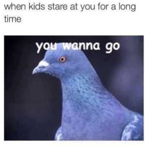 35 Animal Memes to Get You Through the Week | image034 1 35 Animal Memes to Get You Through the Week
