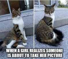 35 Animal Memes to Get You Through the Week | image036 1 35 Animal Memes to Get You Through the Week