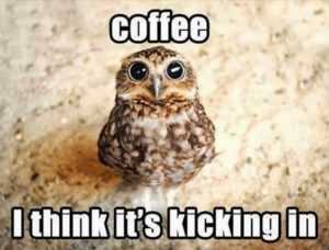 35 Animal Memes to Get You Through the Week | image039 35 Animal Memes to Get You Through the Week